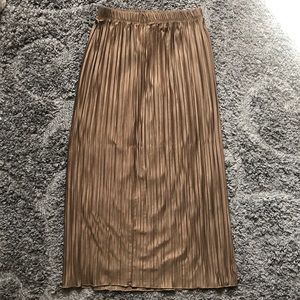 Zara Fall Pleated Skirt (small)